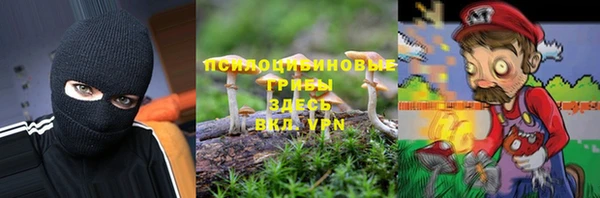 эйфоретик Елизово
