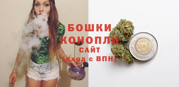 амф Дмитров