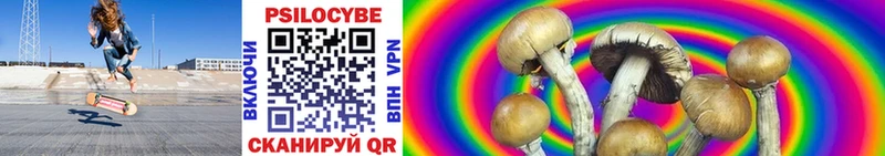 Псилоцибиновые грибы Psilocybine cubensis  Коломна 